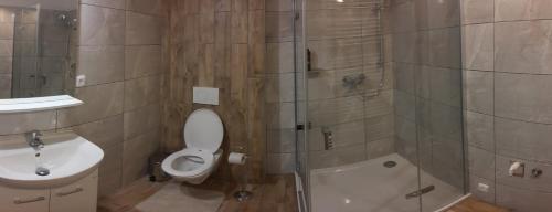 een badkamer met een toilet, een wastafel en een douche bij Apartmán u Lidušky in Břeclav