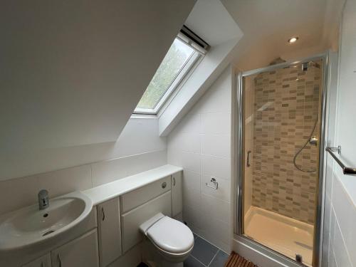a bathroom with a toilet and a sink and a shower at Henley - Luxurious Spacious Four Bedroom Two Bath in Henley on Thames