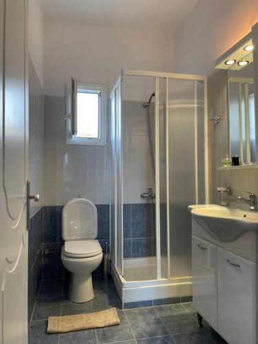 a bathroom with a toilet and a shower and a sink at Villa Blue in Agios Georgios
