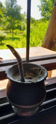 Latidos de Misiones – Photos 2