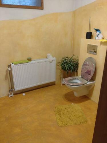 a bathroom with a toilet and a plant at Kellergeschoss Wohnung Moto GP Wochenende in Kraubath an der Mur