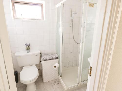 a white bathroom with a toilet and a shower at Churchfield House in Ballina