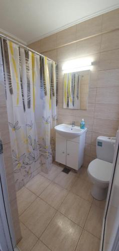 a bathroom with a toilet and a sink at Vila Mara in Costinesti