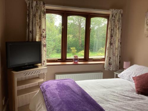 a bedroom with a bed and a tv and a window at The Annex at The Croft in Kingsley