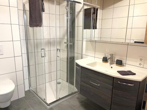 a bathroom with a shower and a sink and a toilet at Ferienwohnungen zum Klammlhof in Ebene Reichenau