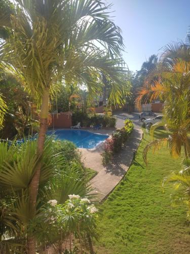 een resort met een zwembad en palmbomen bij Caoba in Las Terrenas