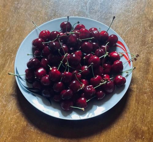 a bowl of cherries on a plate on a table at Paja Guesthouse - Camping in Bogë