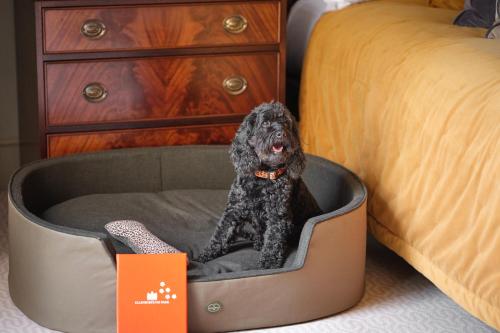 a black dog sitting in a dog bed in a bedroom at Ellenborough Park in Cheltenham
