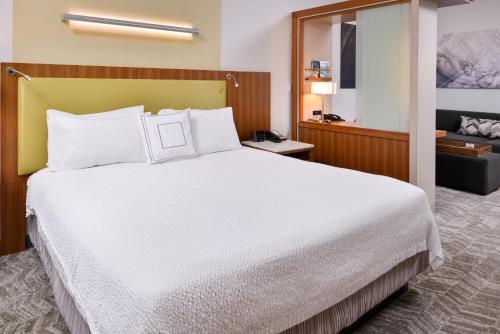 SpringHill Suites Irvine John Wayne Airport / Orange County في ايرفين: غرفة الفندق بسرير ومرآة