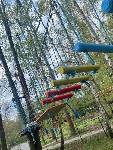 kolejkę górską w parku w obiekcie Centrum Trzy Jeziora Wieleń w mieście Wieleń