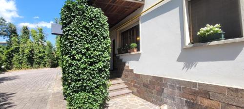 Un jardín fuera de HOTEL PARADISO