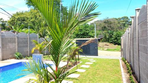 a palm tree in a yard next to a pool at Casa Bahía Ale, Bahía Ballena Uvita in Uvita