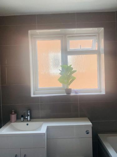 a bathroom with a sink and a window with a potted plant at Private Double Room available in Hampshire in Liphook