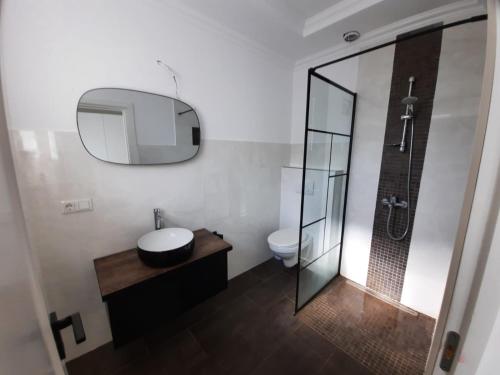 a bathroom with a toilet and a sink and a mirror at Apartament la casa in Bistriţa