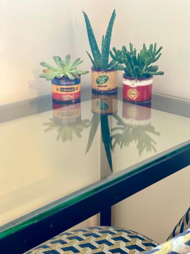 three potted plants sitting on top of a table at HABITARE Lecce & Salento in Lecce