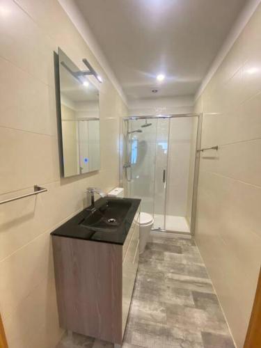 a bathroom with a sink and a toilet and a mirror at Apartamento em braga in Braga