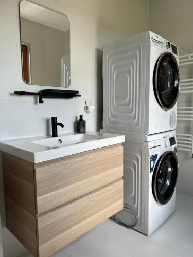 a bathroom with a sink and a washing machine at arra housing near Bistrita in Şintereag
