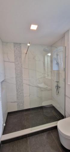 a bathroom with a glass shower with a toilet at Central apartment with city view in Braşov
