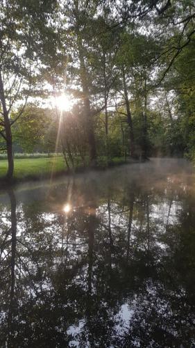 a reflection of the sun in a pond at Ferienwohnung Spreewaldglück in Burg