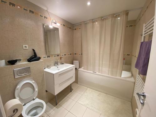 La salle de bains est pourvue de toilettes, d'un lavabo et d'une baignoire. dans l'établissement Grand appartement luxueux, calme et sûr, à Paris