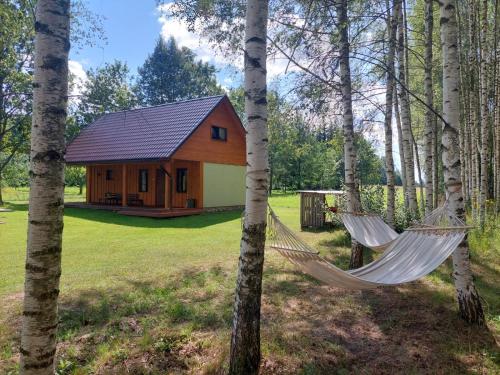 a hammock in front of a cabin in the woods at MI namiņš 