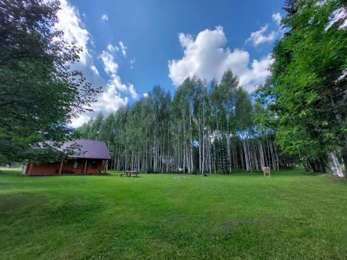 a cabin in the middle of a field with trees at MI namiņš 