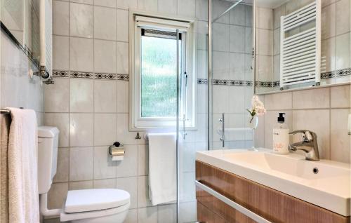 a bathroom with a sink and a toilet and a window at Cozy Home In Vorden With Kitchen in Vorden