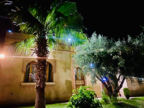 a palm tree in front of a house at night at Villa privée avec piscine pour familles à Marrakech, Lalla Takerkousst in Marrakech