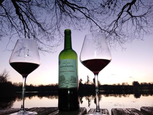 Le Chalet du Coin في Videix: كأسين من النبيذ الأحمر بجوار زجاجة من النبيذ