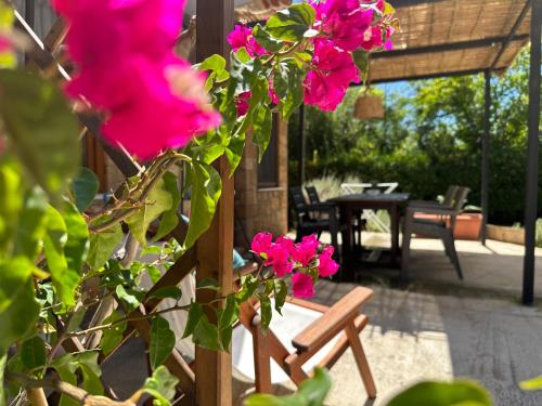 un groupe de fleurs roses sur un patio dans l'établissement Genari Beach Apartments, à Levendokhórion