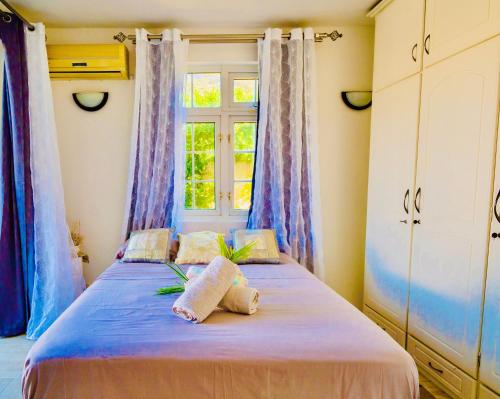 1 Schlafzimmer mit 2 Betten und einem Fenster in der Unterkunft Cozy Home in Rivière Noire