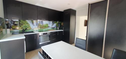 a kitchen with black cabinets and a white counter top at ŠILAINIŲ APARTAMENTAI in Kaunas