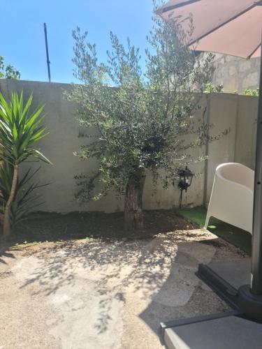 Giardino di Casinhas no Carolina - Hostel