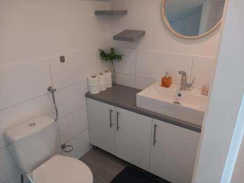 a bathroom with a toilet and a sink and a mirror at One bedroom loft apartment with nice view in Nin