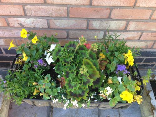 a pot of flowers in front of a brick wall at Elmdon Lodge in Birmingham