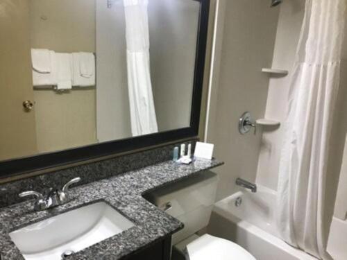 a bathroom with a sink and a toilet and a mirror at Clarion Hotel Fort Mill Near Amusement Park in Fort Mill