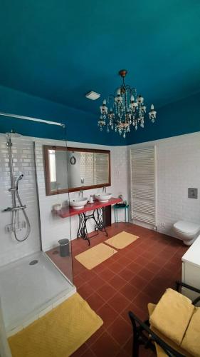 La salle de bains est pourvue d'une douche et d'un lustre. dans l'établissement Le 9 de Cour, Chambre Kiwi, à Carcassonne