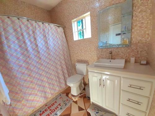 ein Badezimmer mit einem WC, einem Waschbecken und einem Spiegel in der Unterkunft Mango tree Oasis in Treasure Beach