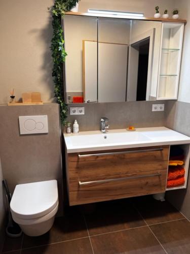 a bathroom with a sink and a toilet and a mirror at Heidis Ferienwohnung in Kramsach