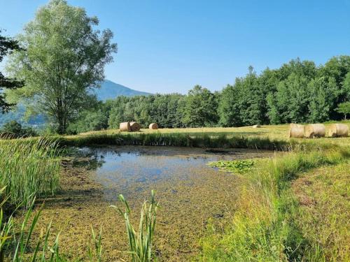 um pequeno lago num campo com fardos de feno em Oasi di pace nella Val di Taro em Compiano