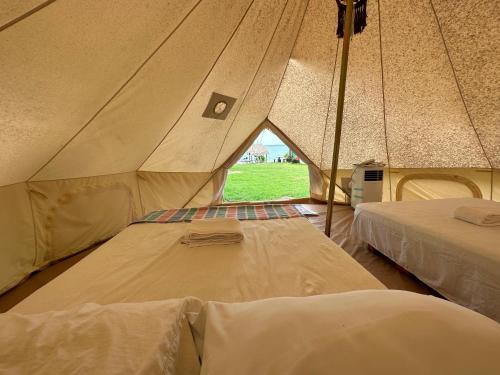 a tent with two beds in a room at Luigi's Glamping in Bacalar