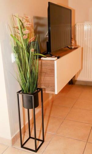 22 Apartment with private parking
