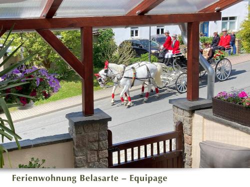 Foto dalla galleria di Ferienwohnung Belasarte a Bad Elster