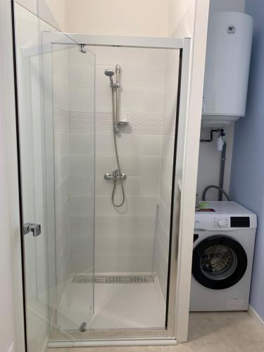 une douche avec une porte en verre à côté d'un lave-linge dans l'établissement Ambalao - Appartement 2 chambres, à Meysse
