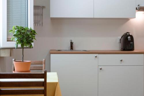 a kitchen with white cabinets and a potted plant on a table at Quinta Das Essências in Penafiel