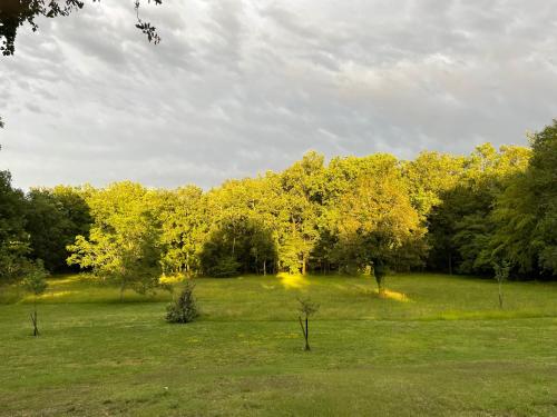 a field with trees with yellow leaves on it at LA CROIX DES GRANGES in Chapdeuil