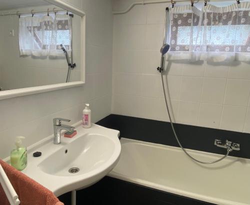 a bathroom with a sink and a shower and a tub at Emese Vendégház in Tiszafüred