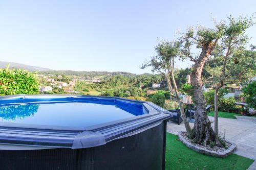 a swimming pool in a backyard with a tree at Cosy Countryside - Family House in Castelo de Paiva