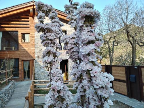 a tree covered in flowers in front of a building at LaChiura holiday home in Andonno