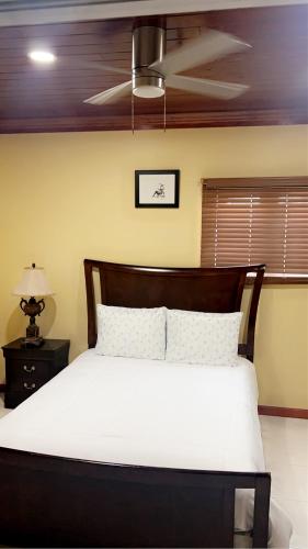 a bedroom with a bed with a ceiling fan at Luxury one bed room apartment in Nassau